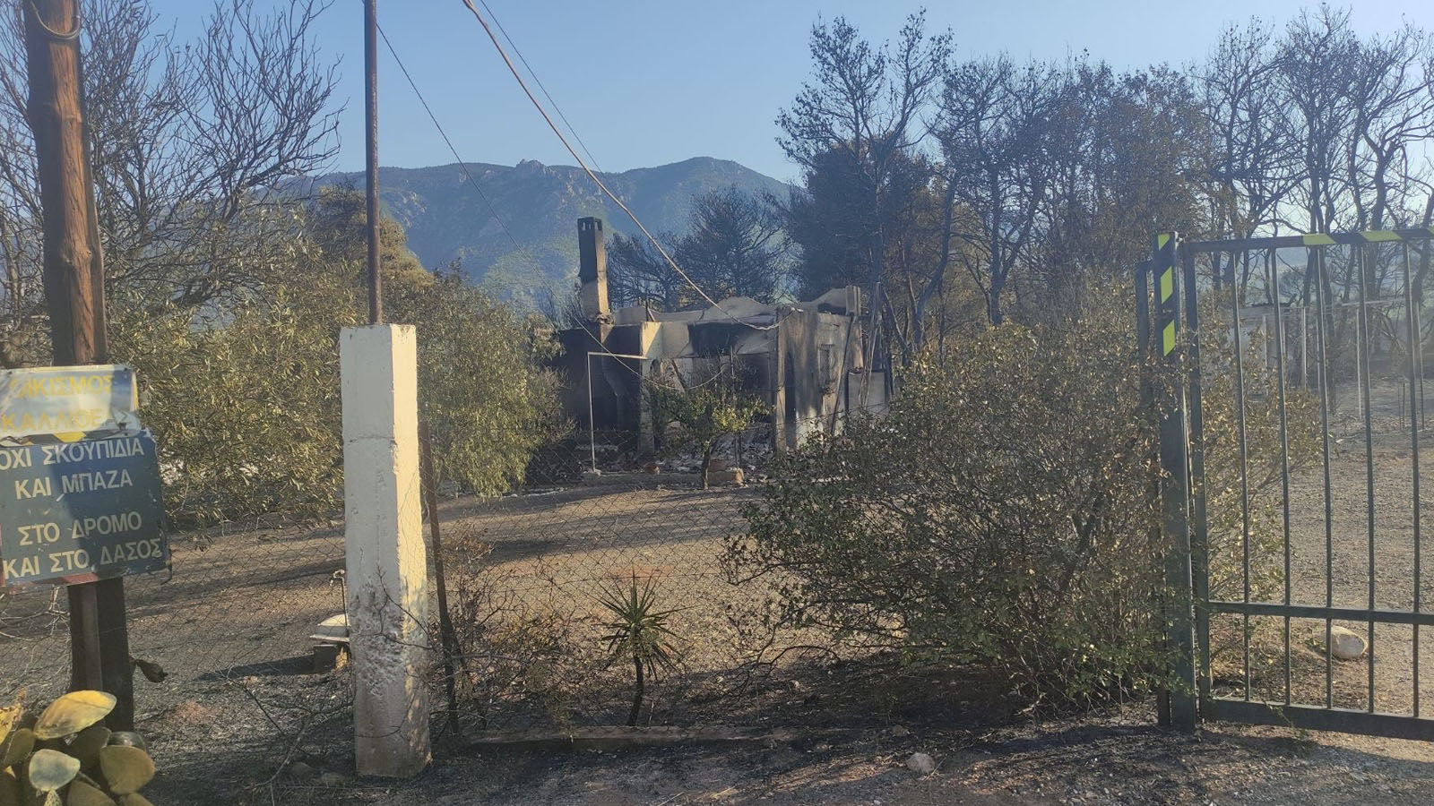 Τα μέτρα για τις πυρόπληκτες επιχειρήσεις