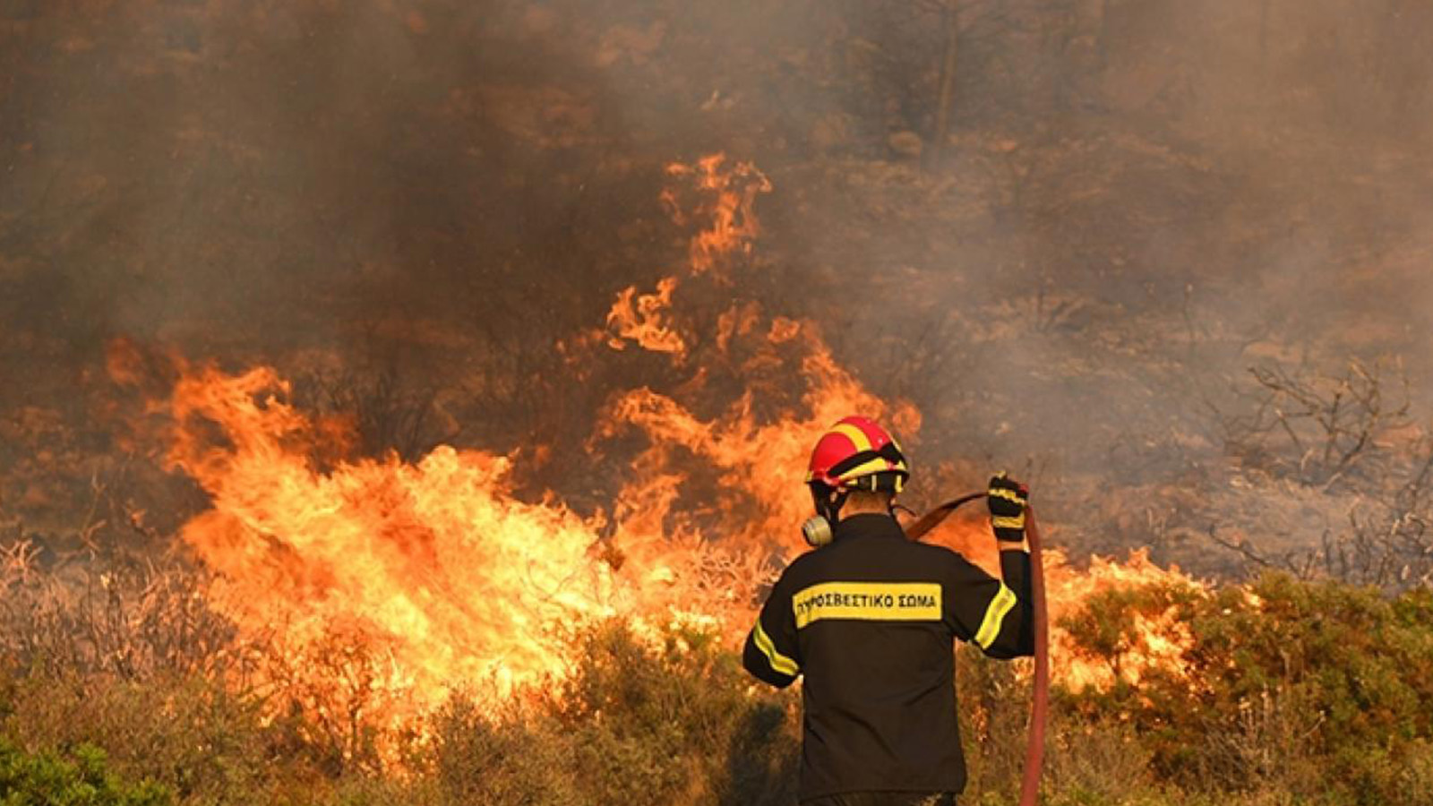 Η Εθνική Ασφαλιστική στο πλευρό των πυρόπληκτων