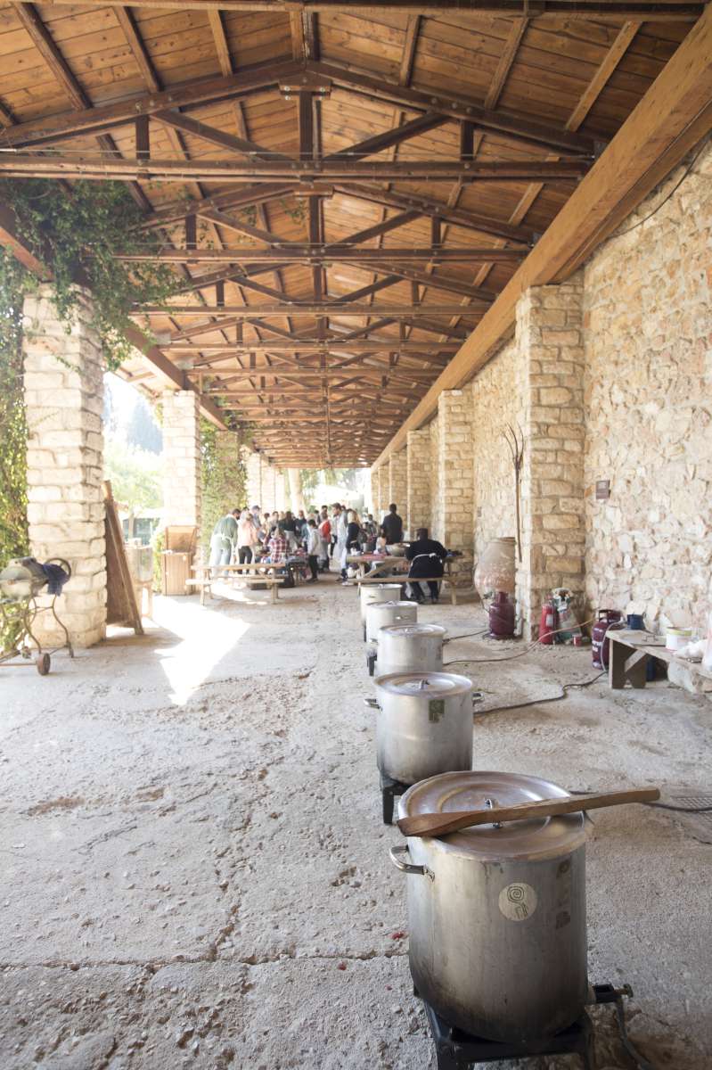 2.021 μερίδες φαγητού από τον Σ.Ε.Σ.Α.Ε. για την Ημέρα Ιδιωτικής Ασφάλισης