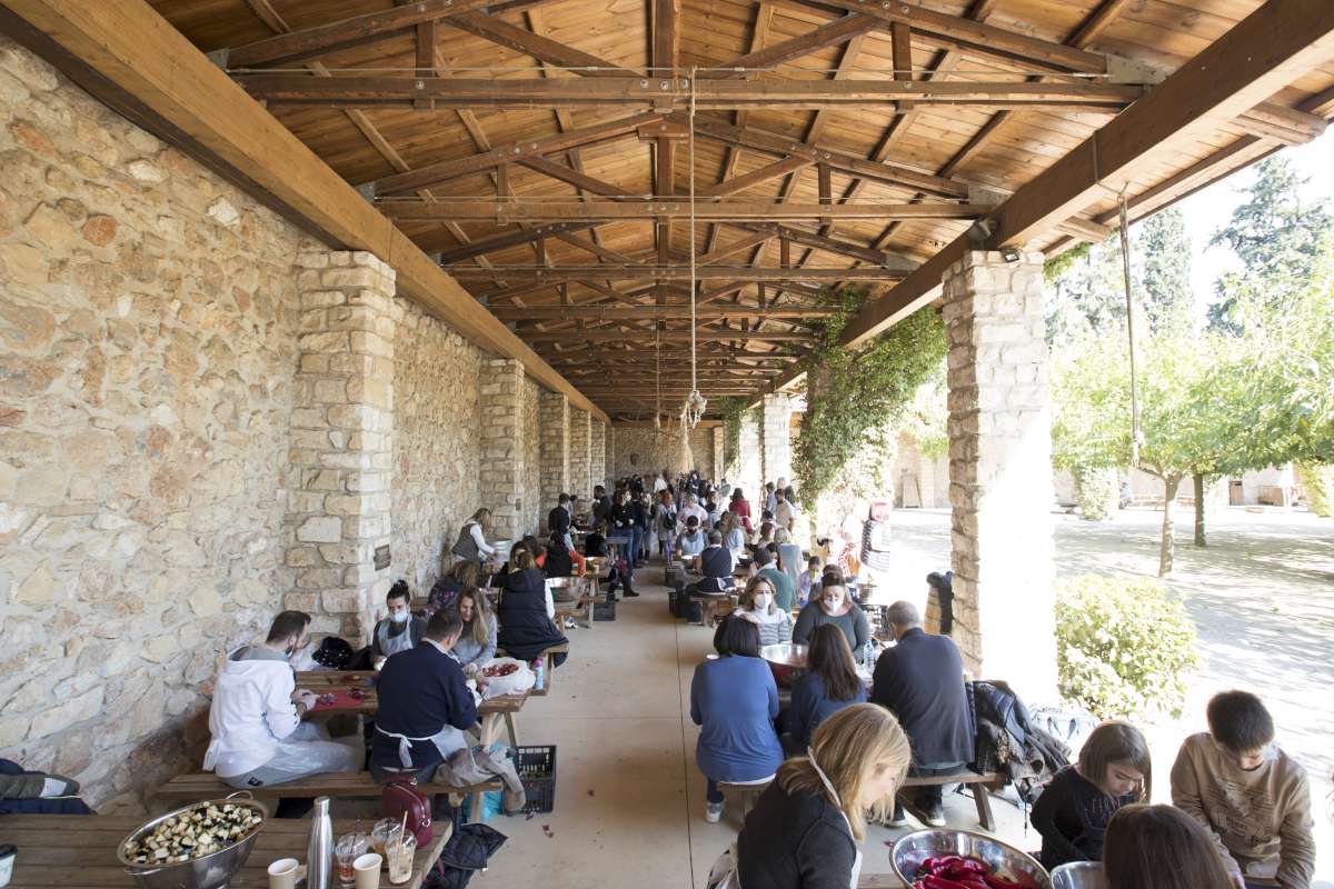 2.021 μερίδες φαγητού από τον Σ.Ε.Σ.Α.Ε. για την Ημέρα Ιδιωτικής Ασφάλισης