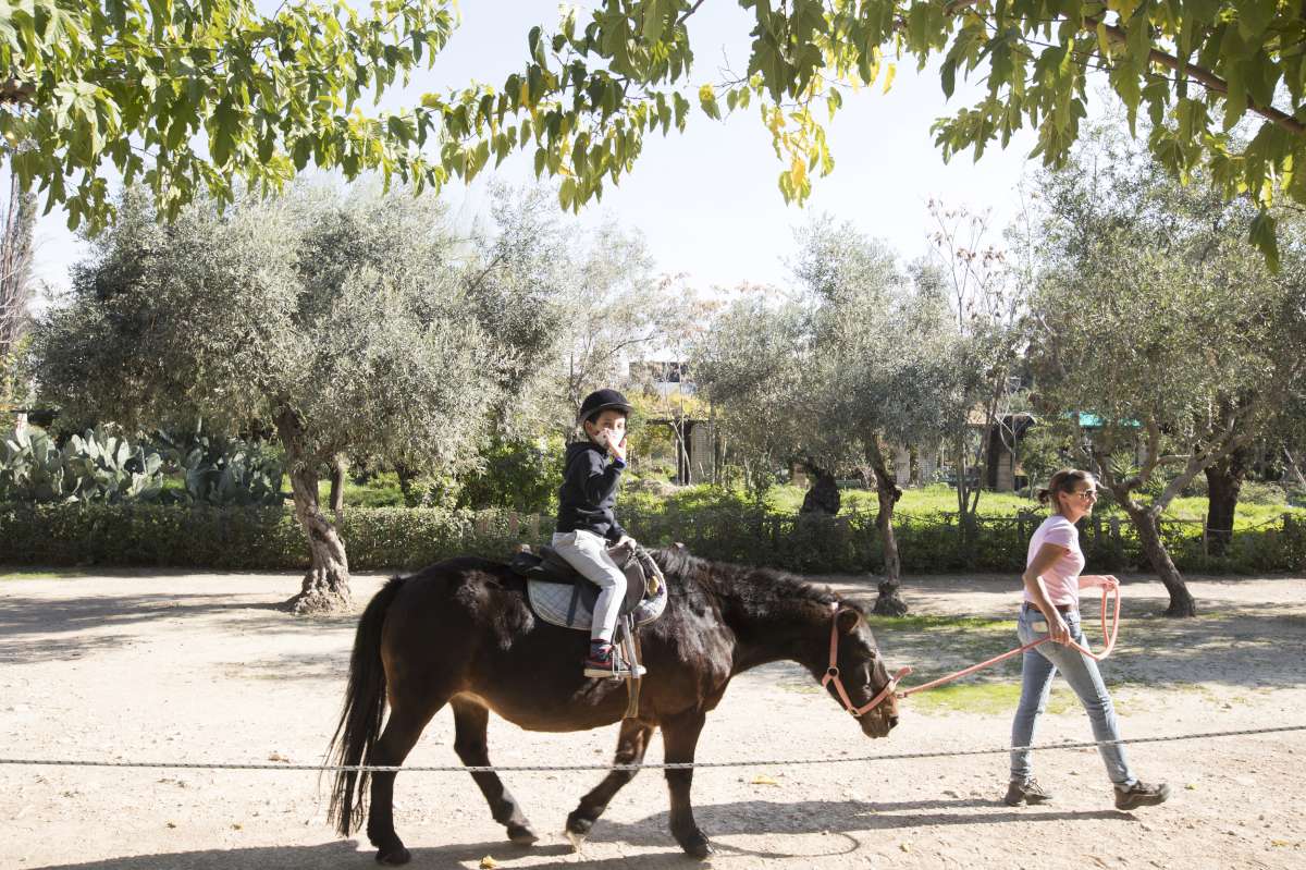 2.021 μερίδες φαγητού από τον Σ.Ε.Σ.Α.Ε. για την Ημέρα Ιδιωτικής Ασφάλισης
