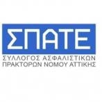Το νέο ΔΣ του ΣΠΑΤΕ