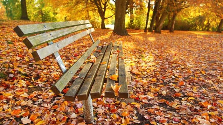 Melancolie in settembre (Editorial Σεπτέμβριος 2019)