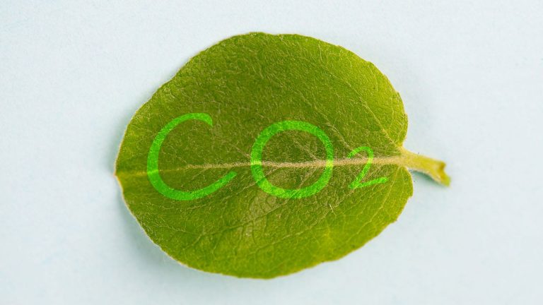 ΕΑΕΕ: Νέο τεύχος Sustainability Newsletter